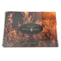 "The Intimate Britney...