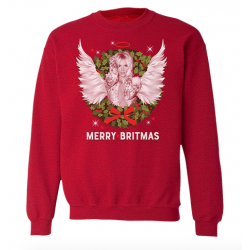 Christmas sweatshirt "Merry...